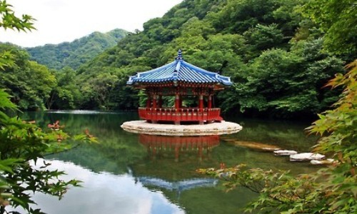 医疗器械能标注功能主治么网-分享医疗器械标识设备，医疗器械产品标注仅限于医院使用知识库